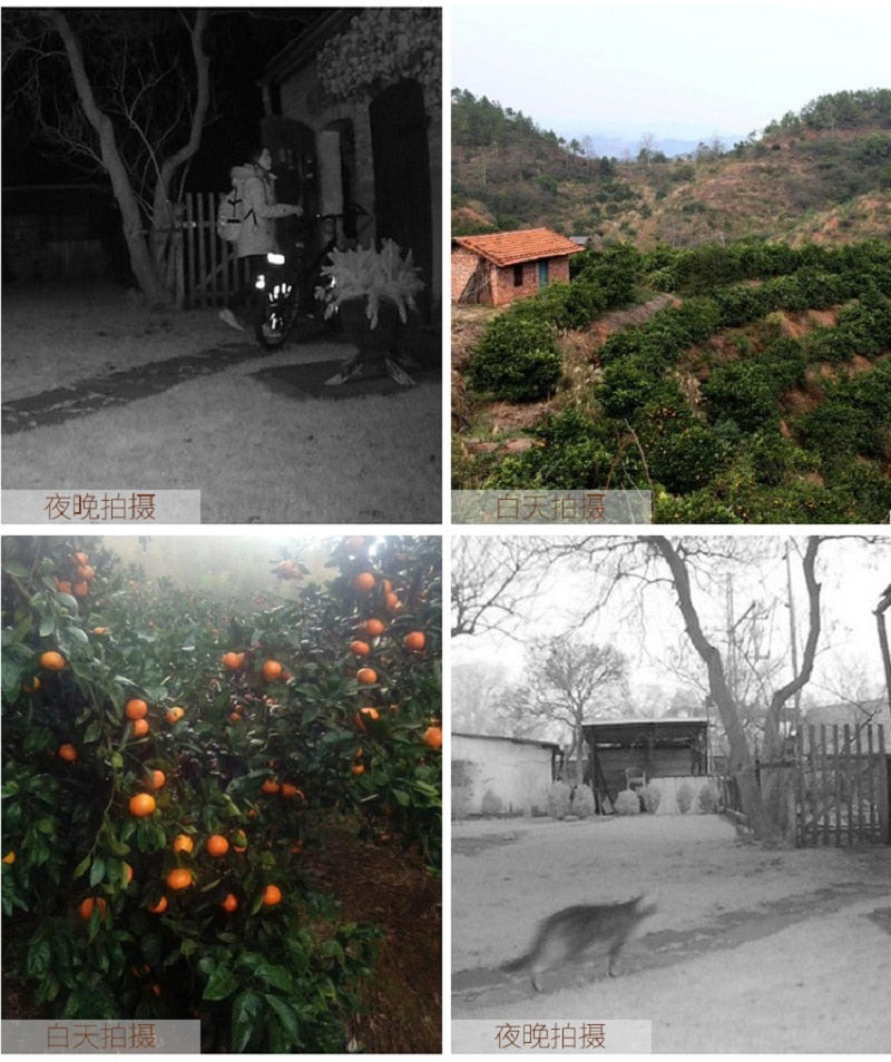 Outdoor Hunting Camera 12MP Wild Animal Detector Trail Camera HD Waterproof Monitoring Infrared Heat Sensing Night Vision